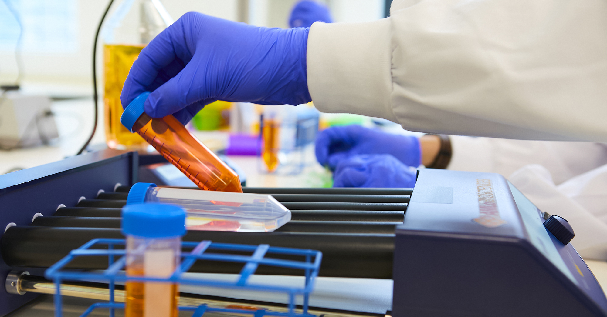 blue-gloved hands handling samples in the lab